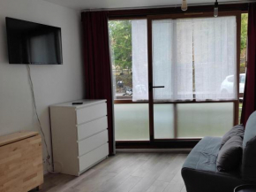 Studio Pied des Pistes - 4 Pers, Équipé, Animaux Non Acceptés - FR-1-689-139